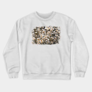 Chamomile Crewneck Sweatshirt